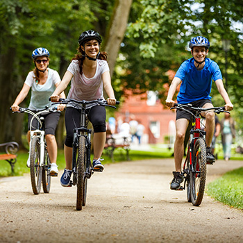 Rental bikes lined up at the trailhead